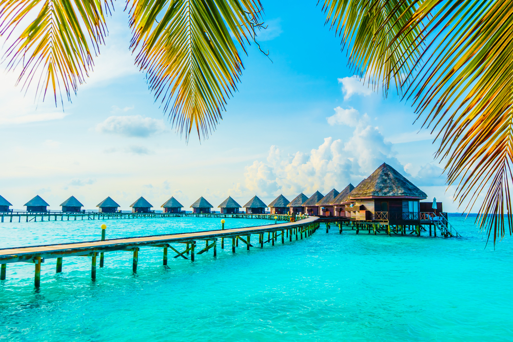 SUN SIYAM OLHUVELI MALDIVES 4 Мальдивы